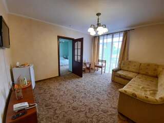 Отель Цвит Папороти Яремче Улучшенный люкс-3