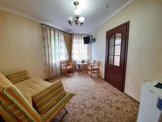 Отель Цвит Папороти Яремче Люкс-1